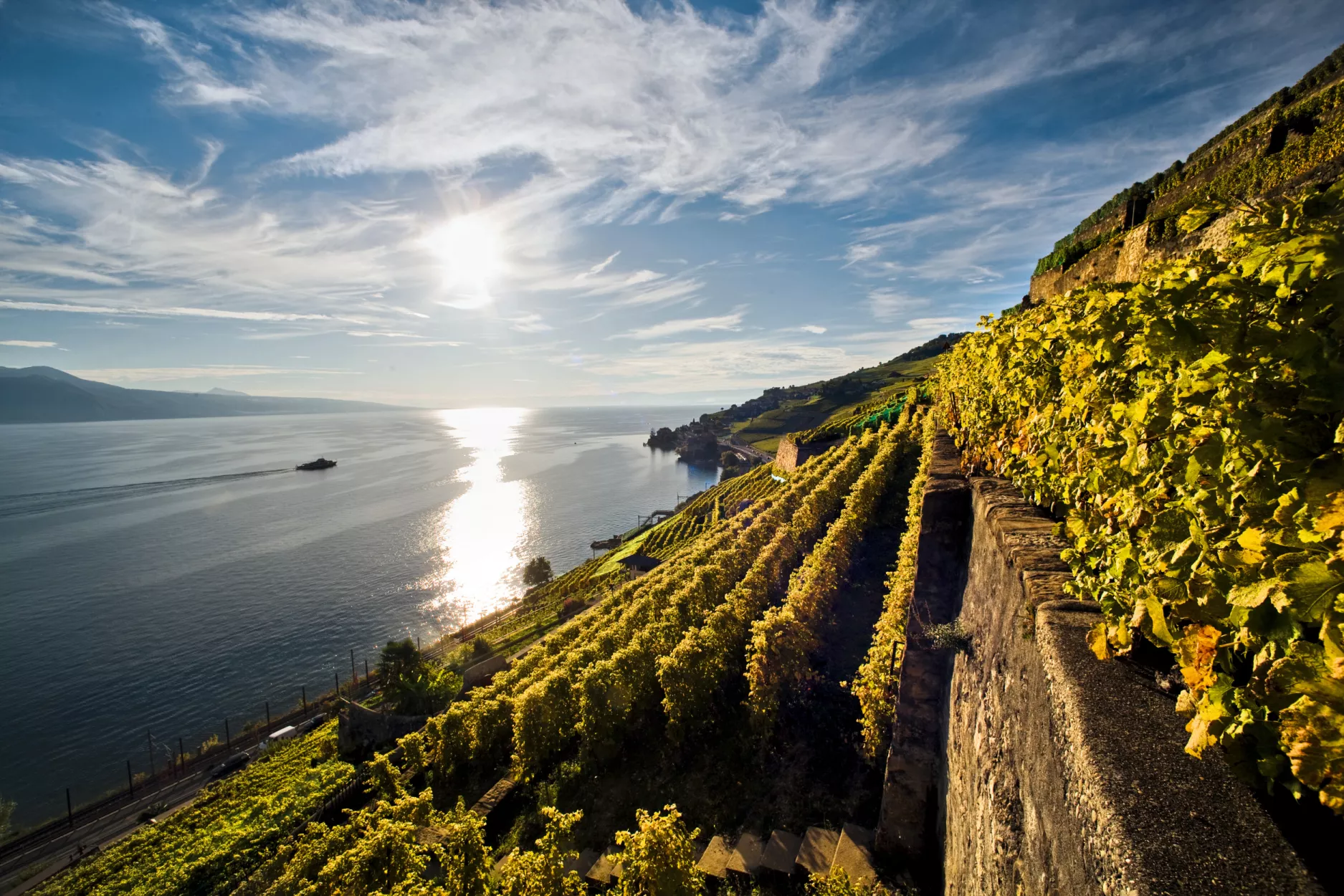 st-3x2-st-saphorin-vineyard-16470.67adaf6ce4025